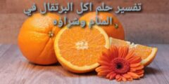 تفسير حلم اكل البرتقال في المنام وشراؤه وأشجاره